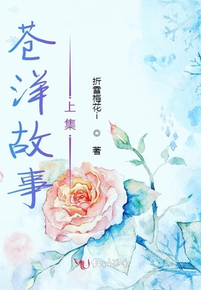 苍洋故事上集在线阅读