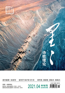 星星·诗歌理论（2021年第4期）