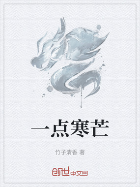 一点寒芒在线阅读