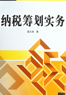 納稅籌劃實(shí)務(wù)