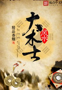 风水大术士在线阅读