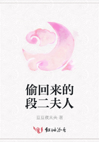 偷回來(lái)的段二夫人在線閱讀