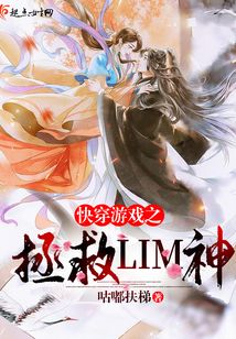 穿越游戲之拯救LIM神
