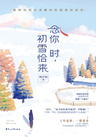 念你时，初雪恰来