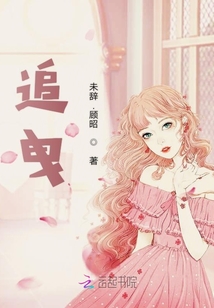 追曳