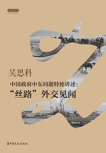中國政府中東問題特使講述：“絲路”外交見聞