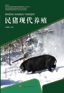 民豬現(xiàn)代養(yǎng)殖