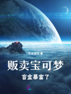 贩卖宝可梦盲盒暴富了在线阅读