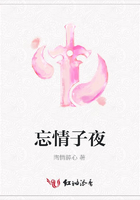 忘情子夜在线阅读