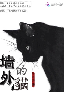 墻外的貓