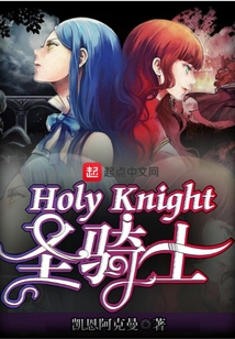 HolyKnight圣騎士