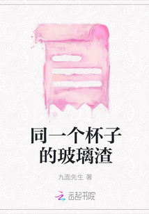 同一個(gè)杯子的玻璃渣