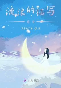 流浪的貓寫情詩