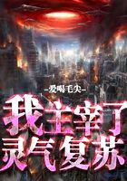 我主宰了灵气复苏在线阅读