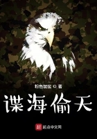 谍海偷天在线阅读