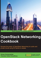 OpenStack Networking Cookbook在线阅读