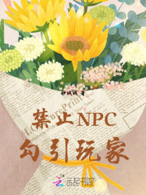 禁止NPC勾引玩家