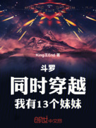 斗罗:同时穿越,我有13个妹妹在线阅读