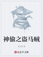神偷之盗马贼在线阅读