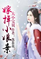 大小宝贝:嫁掉娘亲(全本)在线阅读