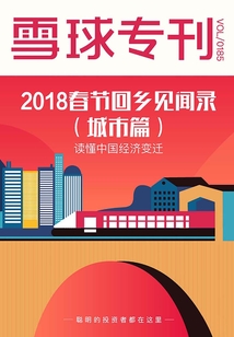 雪球專刊第185期:2018春節回鄉見聞錄(城市篇)