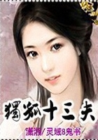 獨孤十三夫在線閱讀