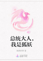 總統(tǒng)大人，我是狐妖在線閱讀