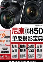 尼康D850单反摄影宝典：相机设置+拍摄技法+场景实战+后期处理