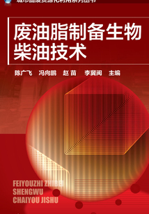 廢油脂制備生物柴油技術(shù)