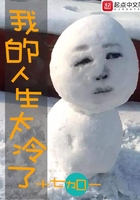 我的人生太冷了在線閱讀