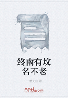 终南有坟名不老在线阅读