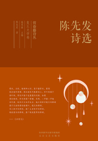 常春藤诗丛复旦大学卷·陈先发诗选在线阅读