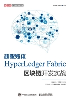 超級賬本HyperLedger Fabric區塊鏈開發實戰在線閱讀