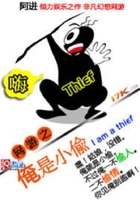 網游之俺是小偷在線閱讀