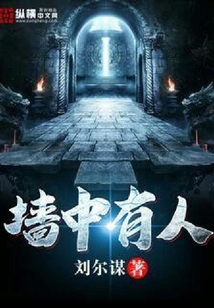 墻中有人