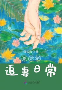頂流的追妻日常