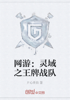 网游：灵域之王牌战队在线阅读