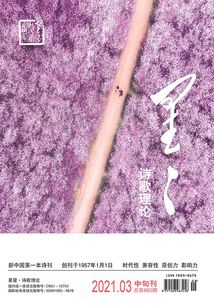 星星·詩歌理論（2021年第3期）
