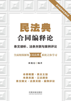 民法典合同编释论：条文缕析、法条关联与案例评议在线阅读