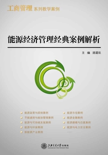 能源經濟管理經典案例解析