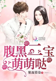 腹黑二寶萌萌噠