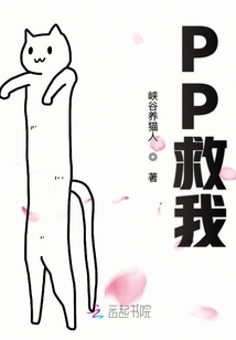 PP救我