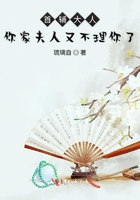 首輔大人你家夫人又不理你了在線閱讀