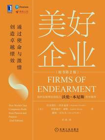 美好企業：通過使命與激情創造卓越績效（原書第2版）