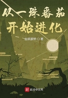从一珠番茄开始进化