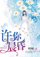 许你晨昏在线阅读