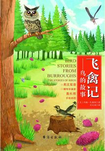 飛禽記：鳥的故事