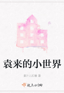 袁來的小世界