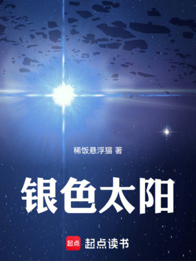 银色太阳在线阅读