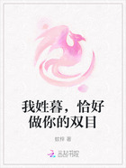 我姓暮,恰好做你的双目在线阅读